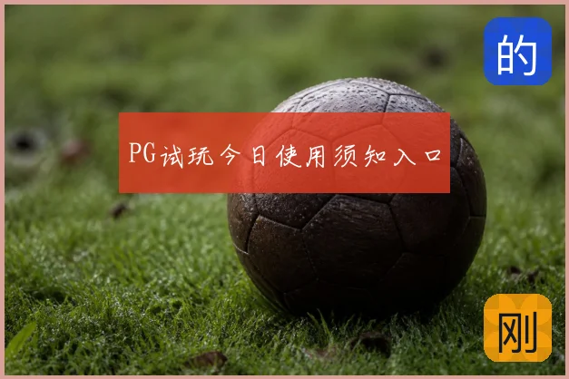 PG试玩今日使用须知入口